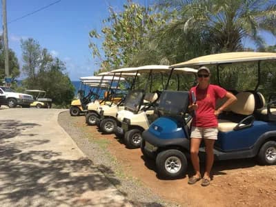 Golf carts at Rachael's Rentals on Water Island